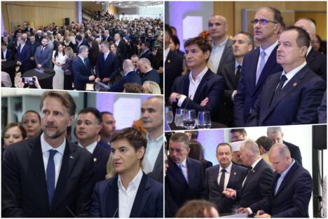 collage.jpg