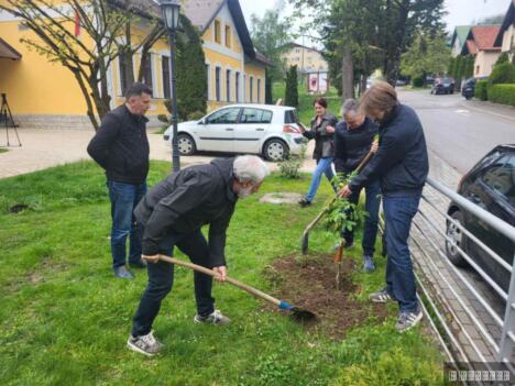 Drvo niklo na Avali iz džepa sahranjenog ruskog vojnika Neverovatna priča o kavk - 11.05.2026(1).jpg