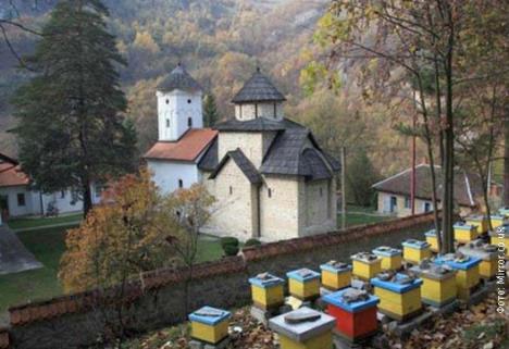 manastir-pustinja-srbija.jpg