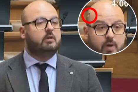 Muva Stefan Janjić