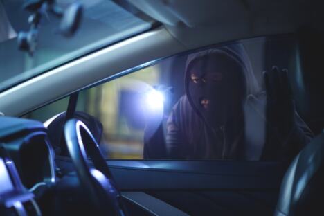 car thief (1).jpg