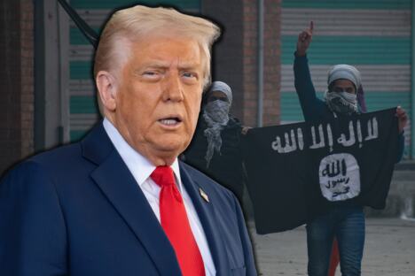 tramp isis.jpg