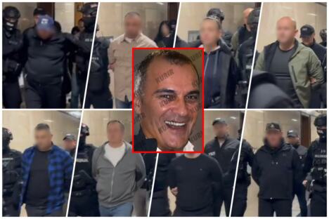 nešović.jpg