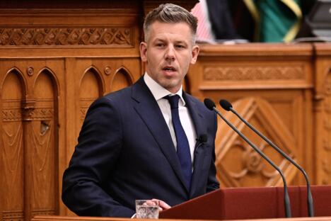Peter Mađar (1).jpg
