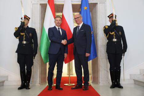 Peter Mađar Donald Tusk (1).jpg