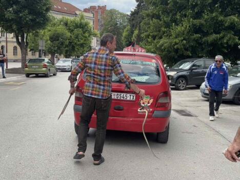 Basurović - hvatanje smuka (1).jpg
