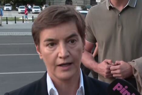 Ana Brnabić (6).png