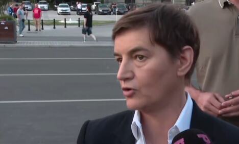 Ana Brnabić (3).png