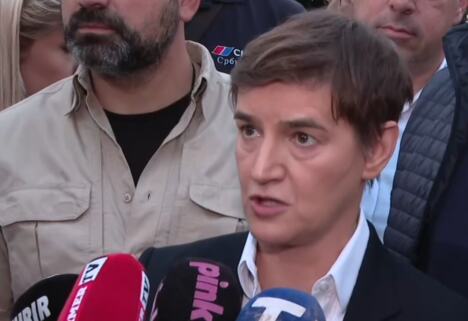 Ana Brnabić (3).png