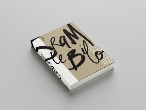 Copy of STB.jpg