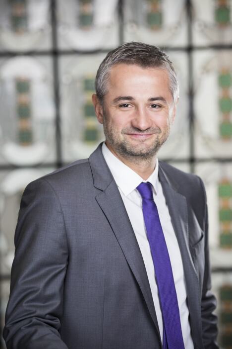 Tomislav Mesić_Ledo (1).jpg