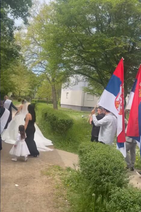 mlada1.png