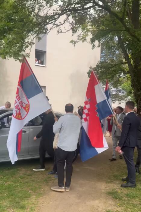 mlada2.png