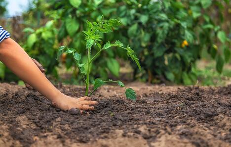 shutterstock_2058293954.jpg