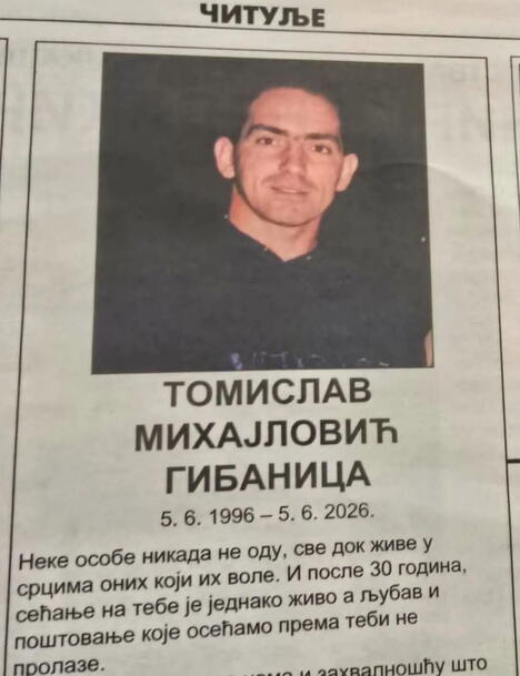 Tomislav Mihajlović Gibanica