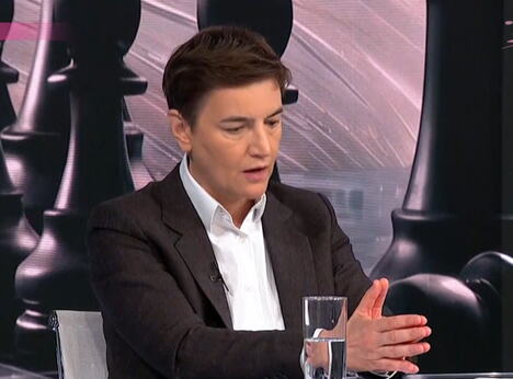 Ana Brnabić (6).png