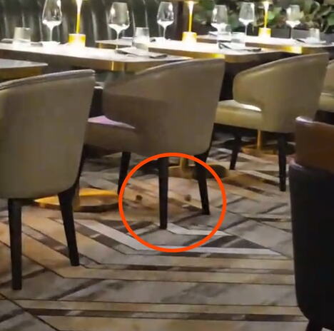 Restoran Gordon Ramsay Steak u kome su gosti snimili miševe kako trče između stolova