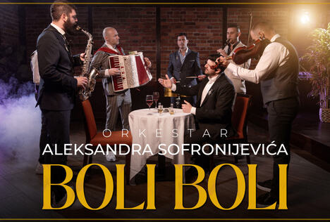 Aca Sofronijević orkestar