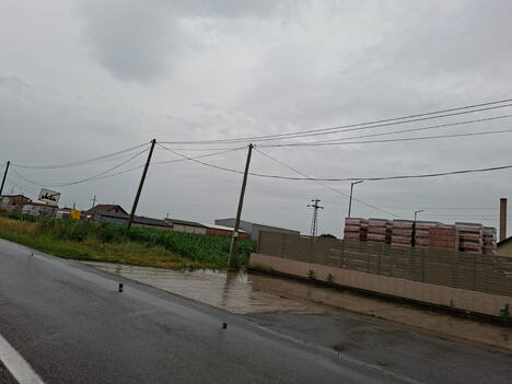 WhatsApp Image 2026-06-11 at 22.01.22.jpeg
