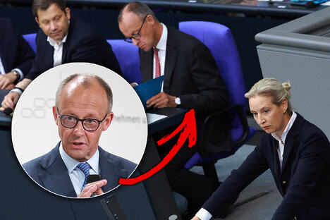 merz.jpg