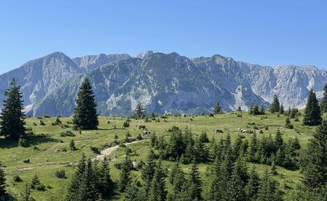 zabljak-fotorina.jpg