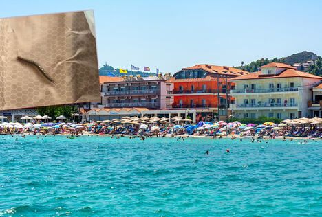 Pefkohori Grčka