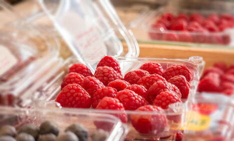 Maline