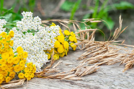 shutterstock_1476571157.jpg