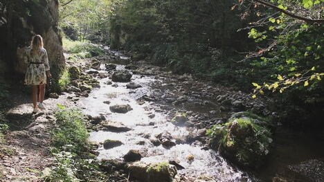 reka Panjica kanjon