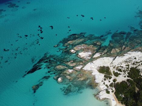 DJI_0539.jpg