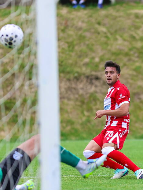FK Crvena zvezda