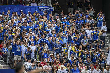 Mundijal 2026 Bosna i Hercegovina, navijači