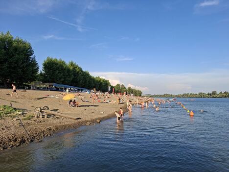 IMG_2333.jpeg