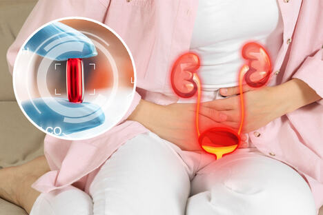 urinarni sistem pilula