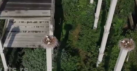 Screenshot 2026-06-25 170914.png