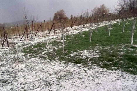 Čačak.jpg