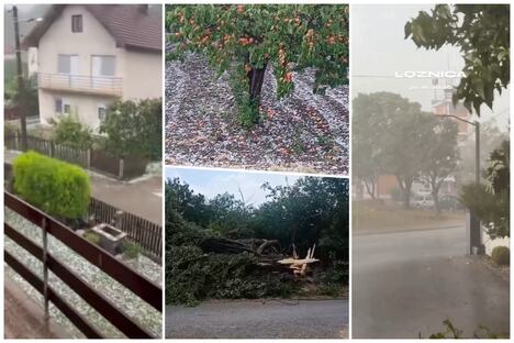 collage.jpg