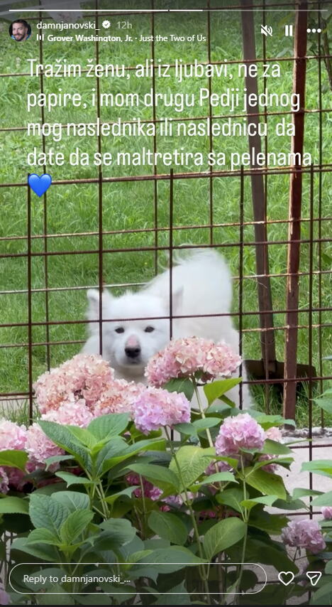 Glumac Peđa Damjanović traži ženku za svog psa