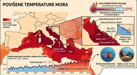 Temperature mora Gemini_Generated_Image
