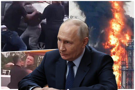 collage copy.jpg