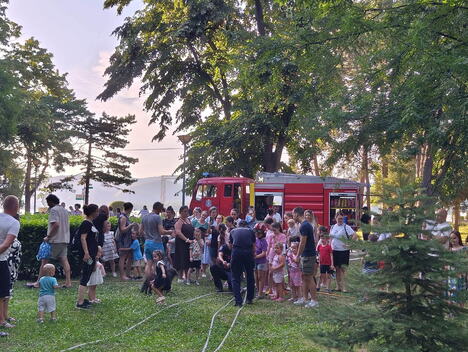 Manifestacija Dani Dunava u Velikom Gradištu