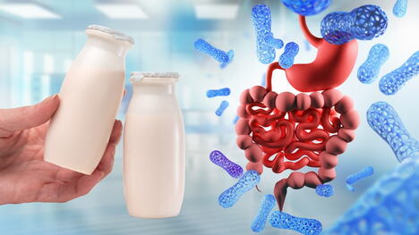 dve flaše jogurta i grafički prikaz creva i želuca, koncept probiotici