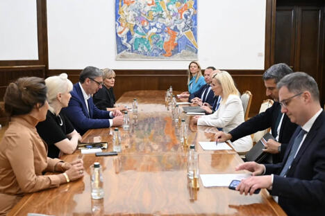 Aleksandar Vučić NALED Etno mreža