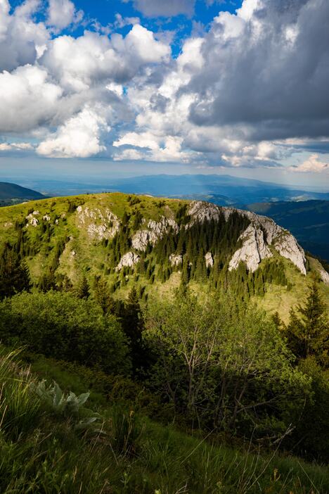 Kopaonik ,priroda,leto-autor Andrej Nihil copy.jpg
