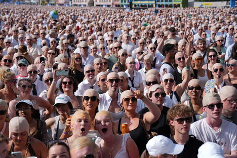 Pit bul koncert