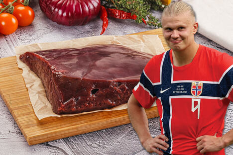 Erling Haland/džigerica