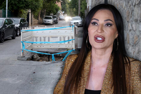 svetlana ceca raznatovic