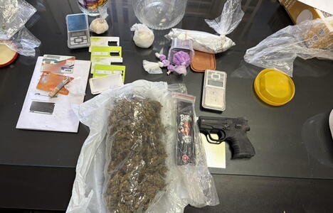 droga, oružje, Bačka Palanka