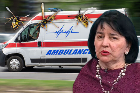 dr Radmila Šehić hitna pomoć ose