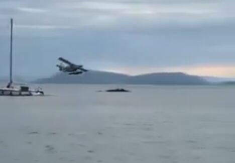 hidroavion
